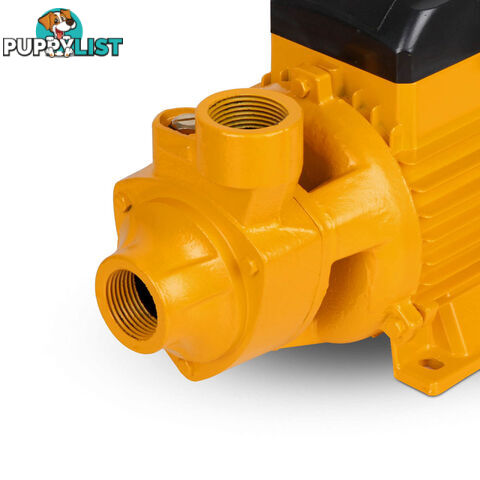 Electric Clean Water Pump 3300L/Hour 1/HP