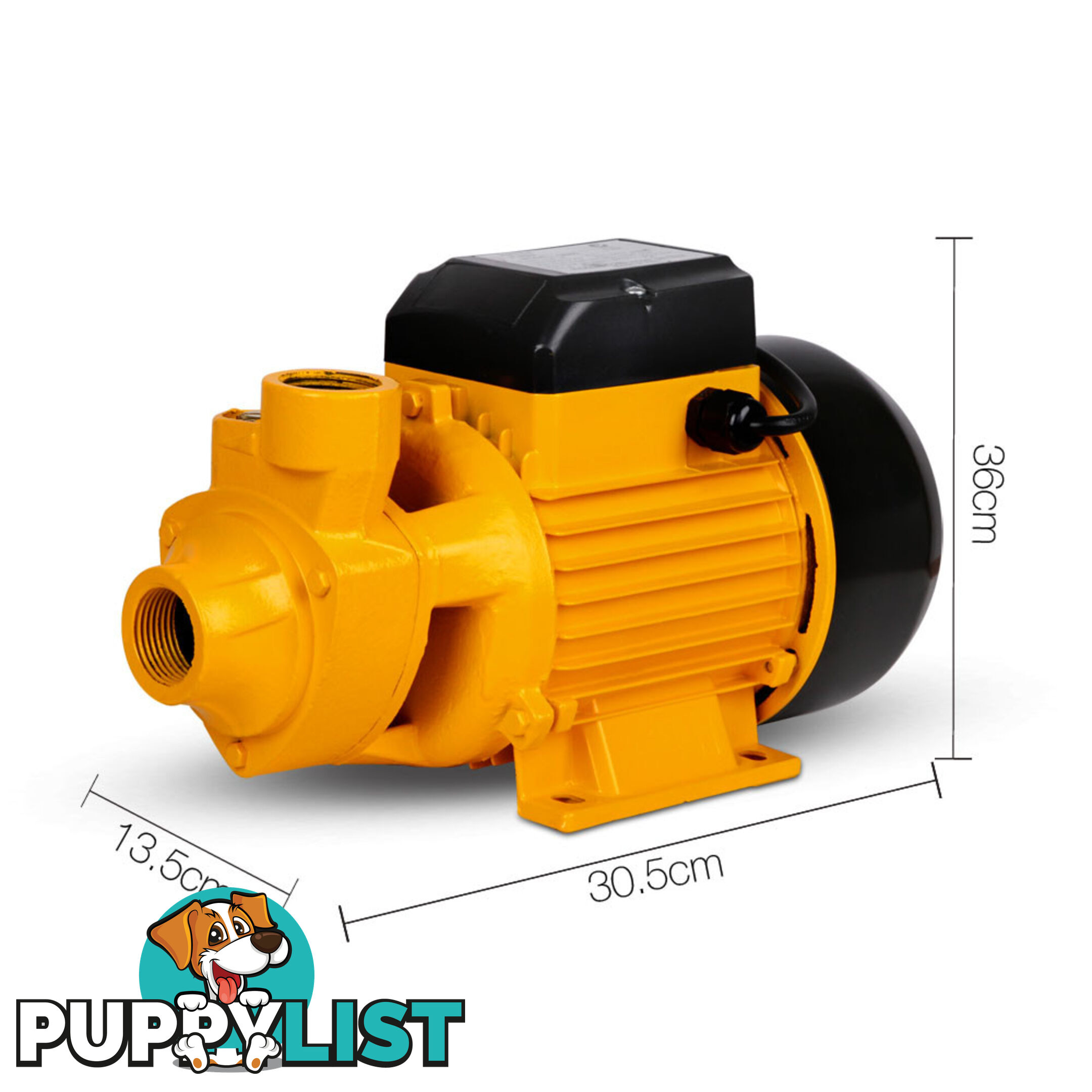 Electric Clean Water Pump 3300L/Hour 1/HP