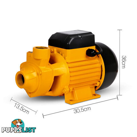 Electric Clean Water Pump 3300L/Hour 1/HP