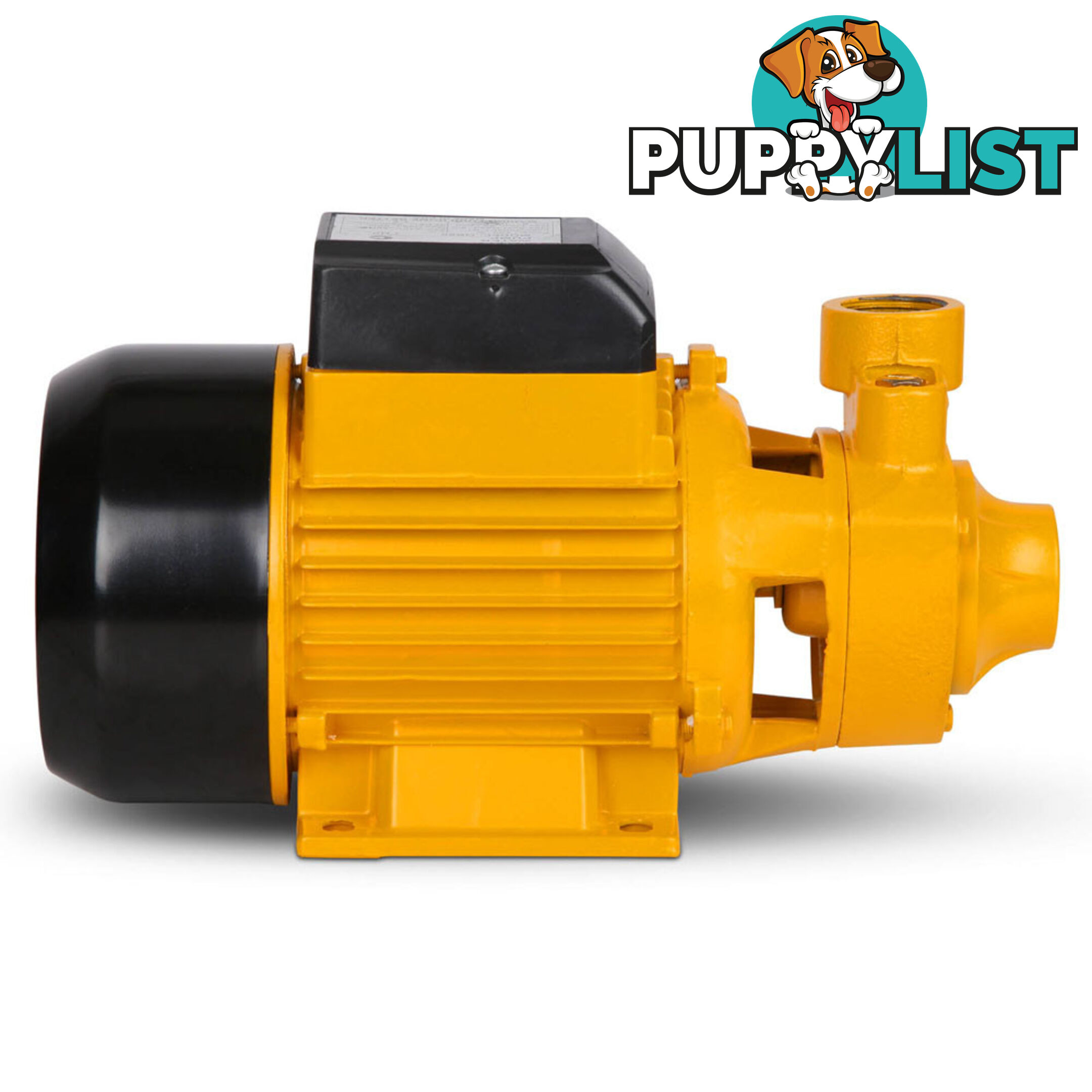 Electric Clean Water Pump 3300L/Hour 1/HP