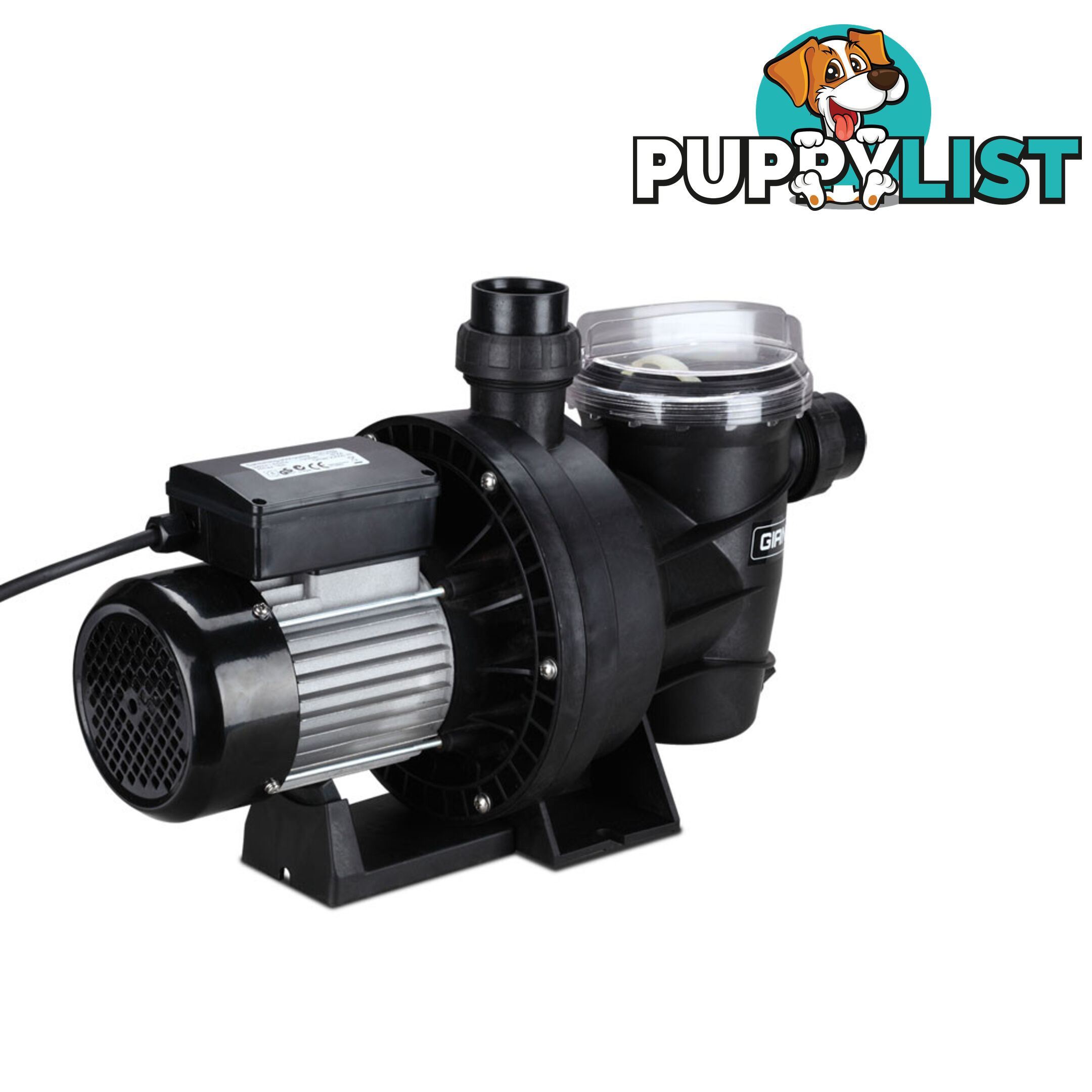 1200w Swimming Pool Pump 23000L/hour