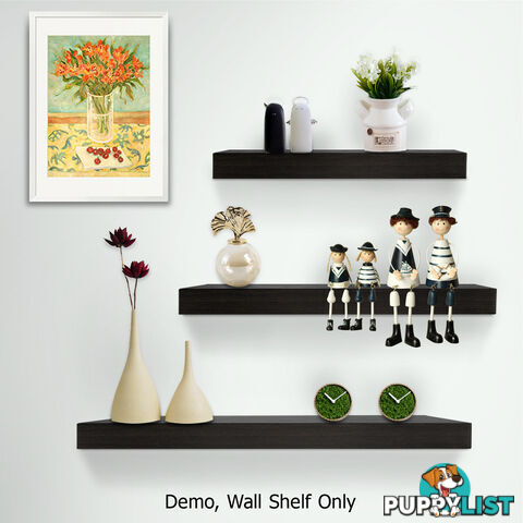 3 pcs Wall Floating Shelf Set Bookshelf Display Black