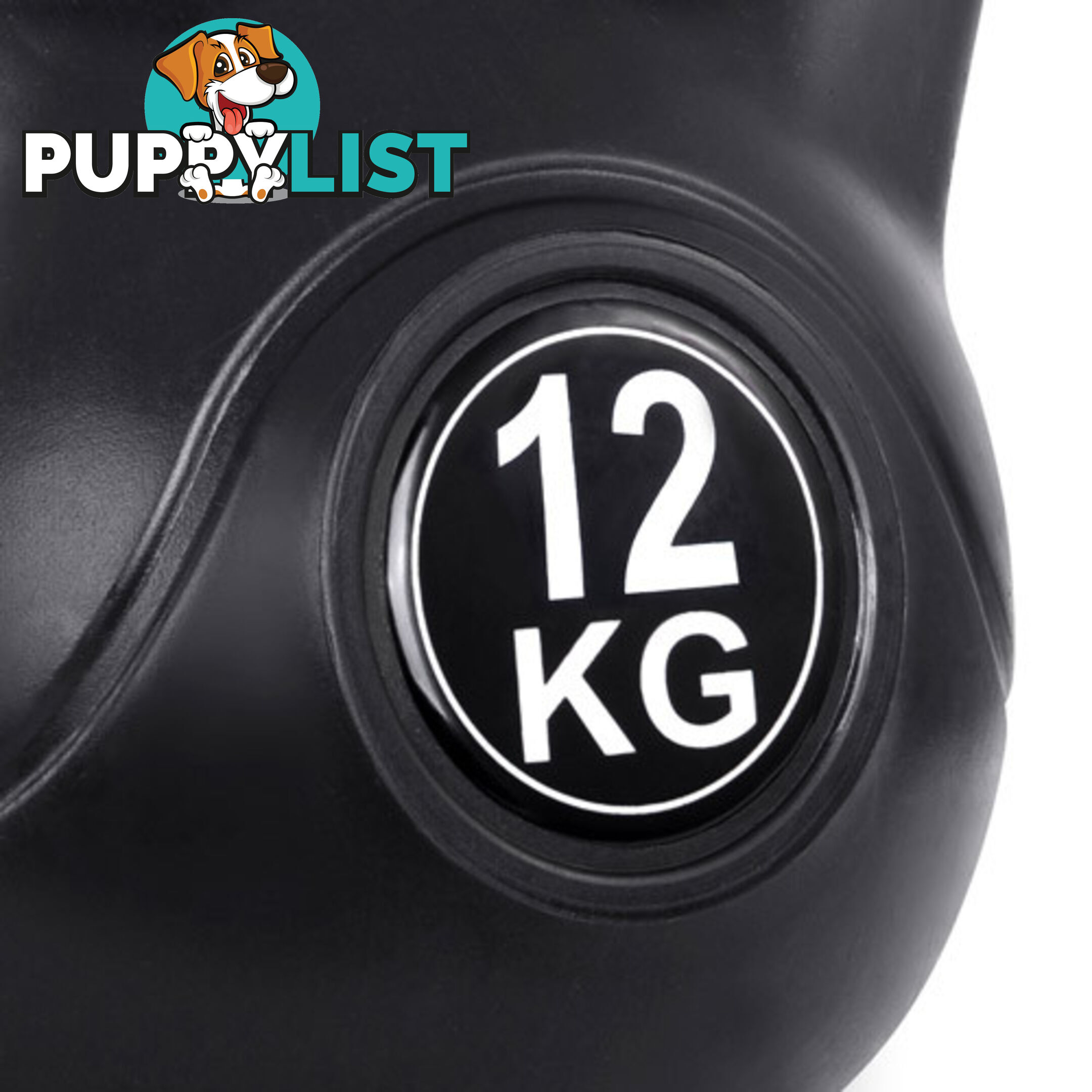 Kettlebells Fitness Exercise Kit 12kg