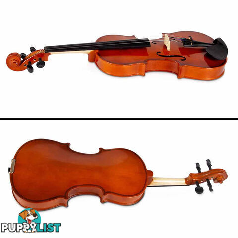 Full Size 4/4 Natural Wooden Beginner Violin Set Brown