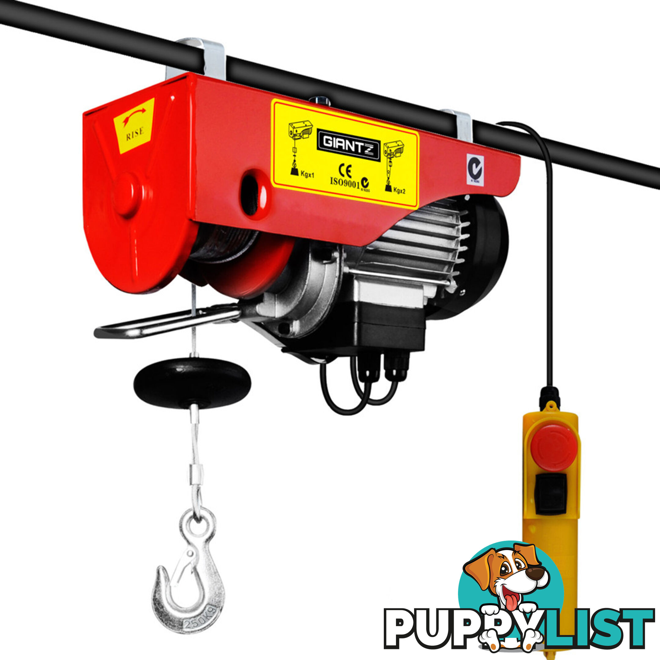 125/250kg 510 W Electric Hoist Winch