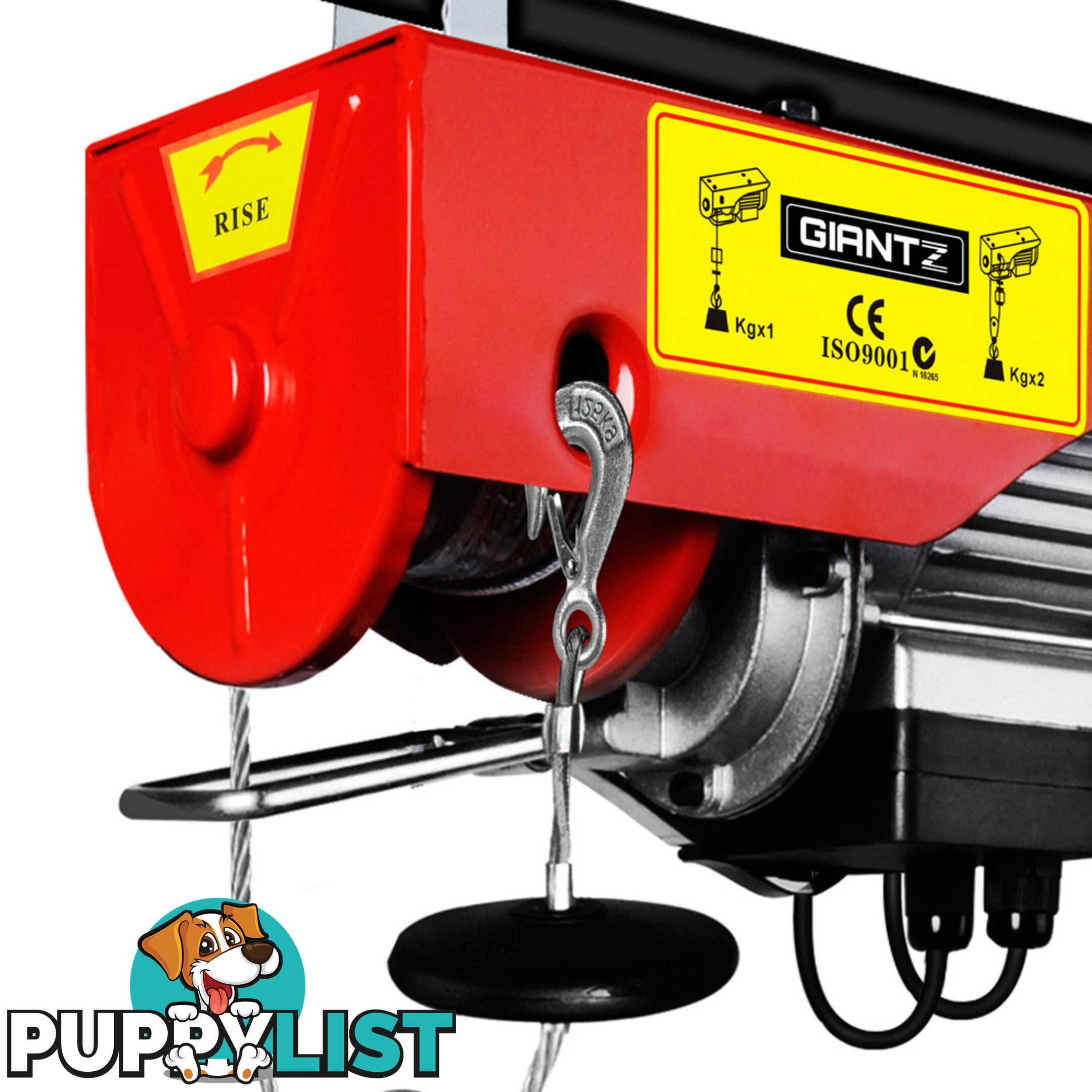 125/250kg 510 W Electric Hoist Winch