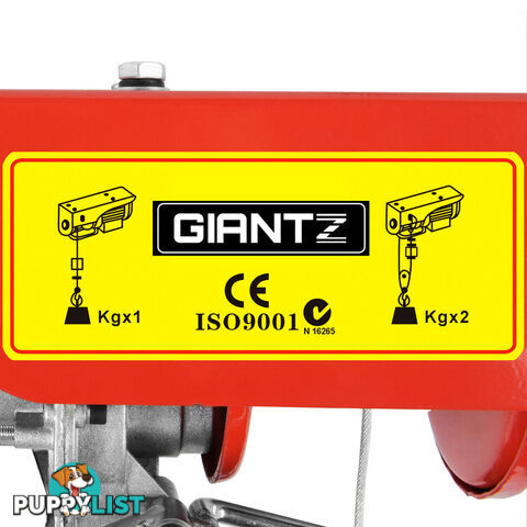 125/250kg 510 W Electric Hoist Winch