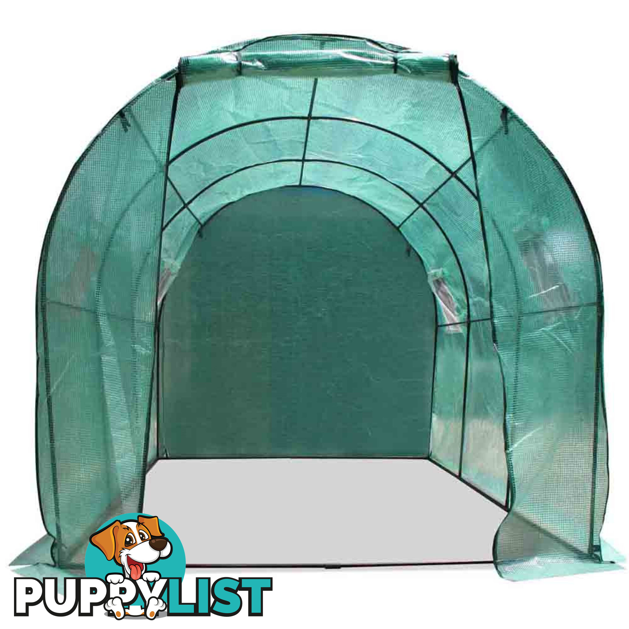 Greenhouse with Green PE Cover - 3M x 2M