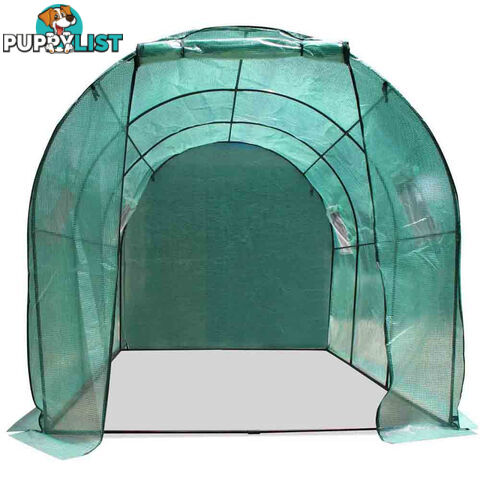 Greenhouse with Green PE Cover - 3M x 2M