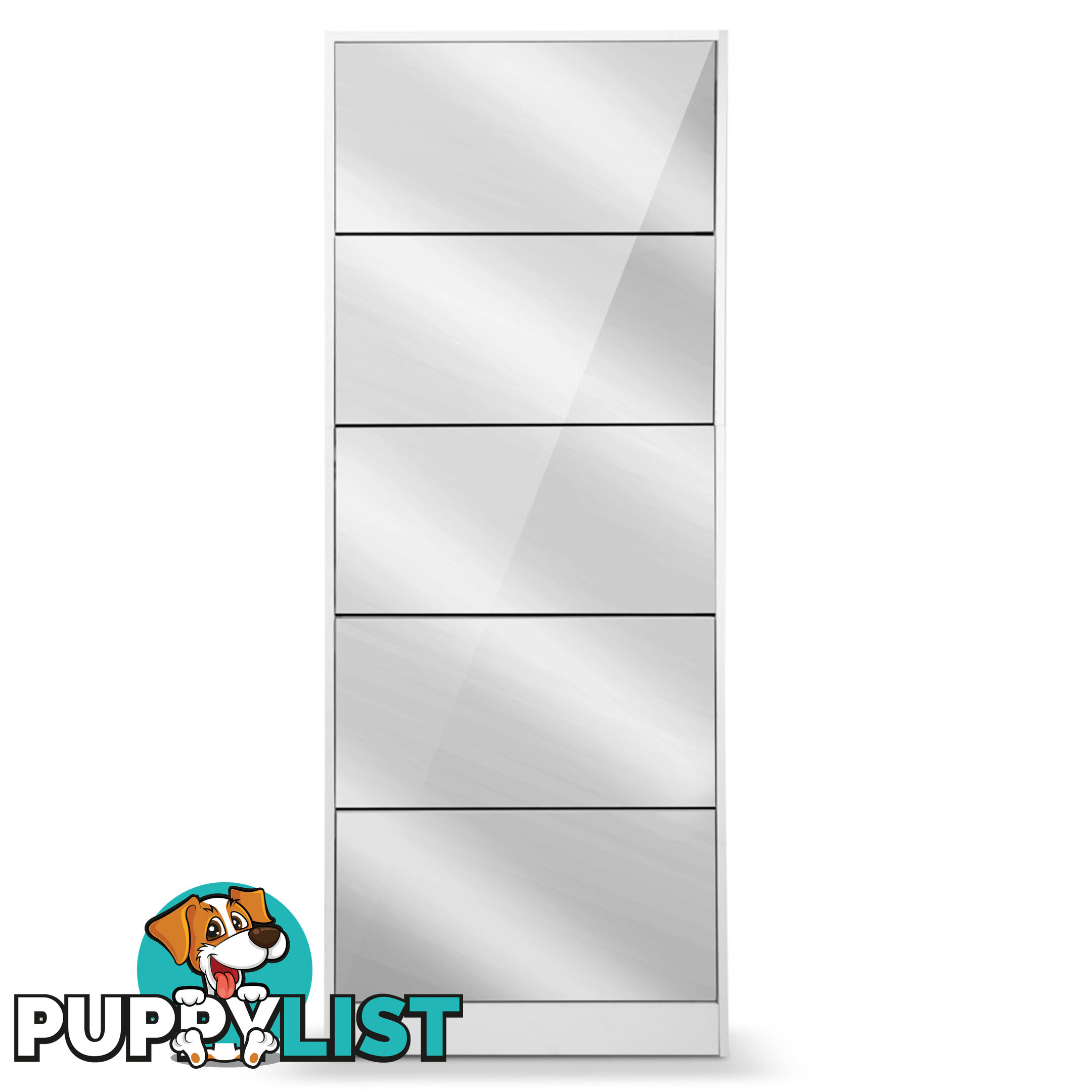 Mirrored Shoe Cabinet Storage 5 Drawers Shelf White