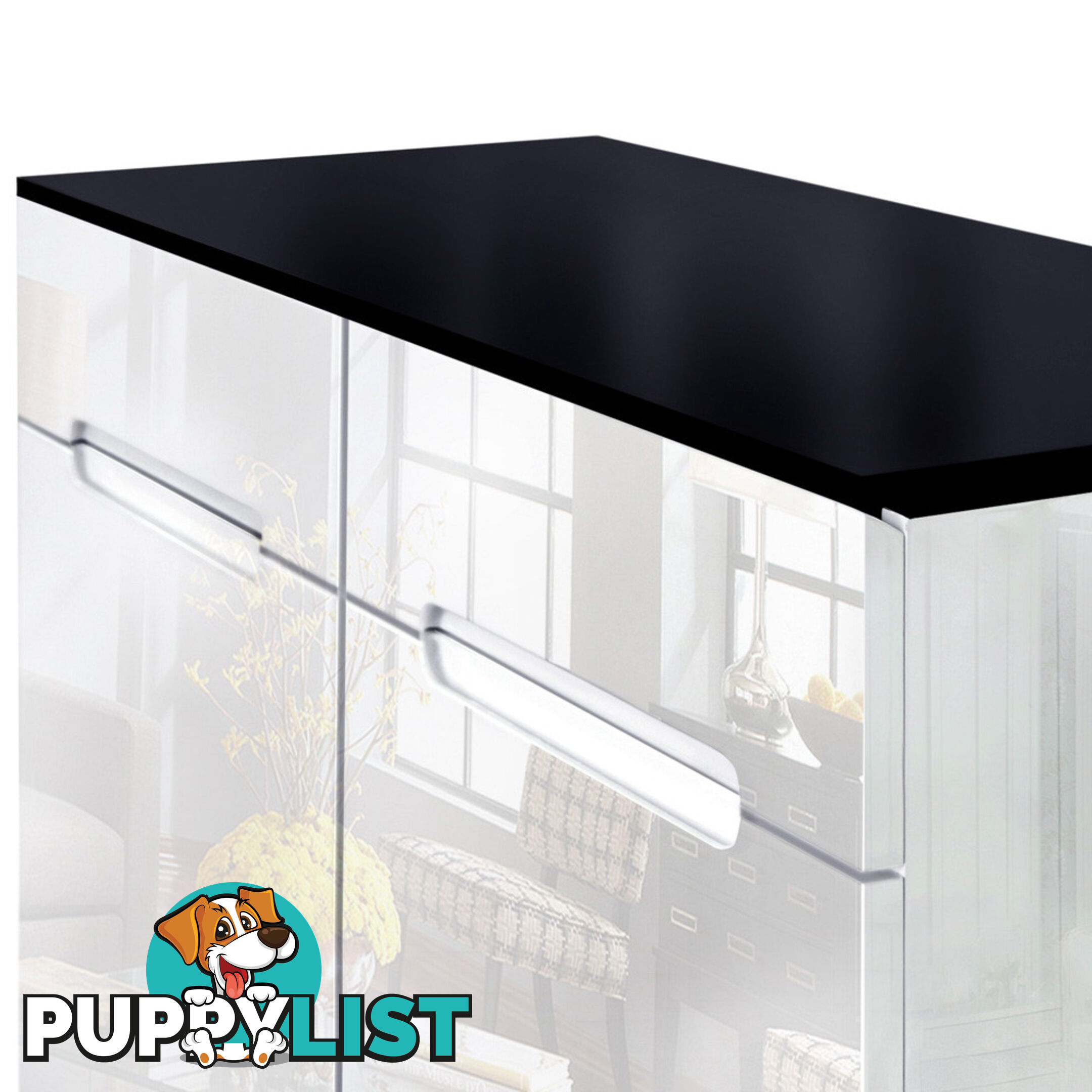 High Gloss Shoe Cabinet Rack Black / White