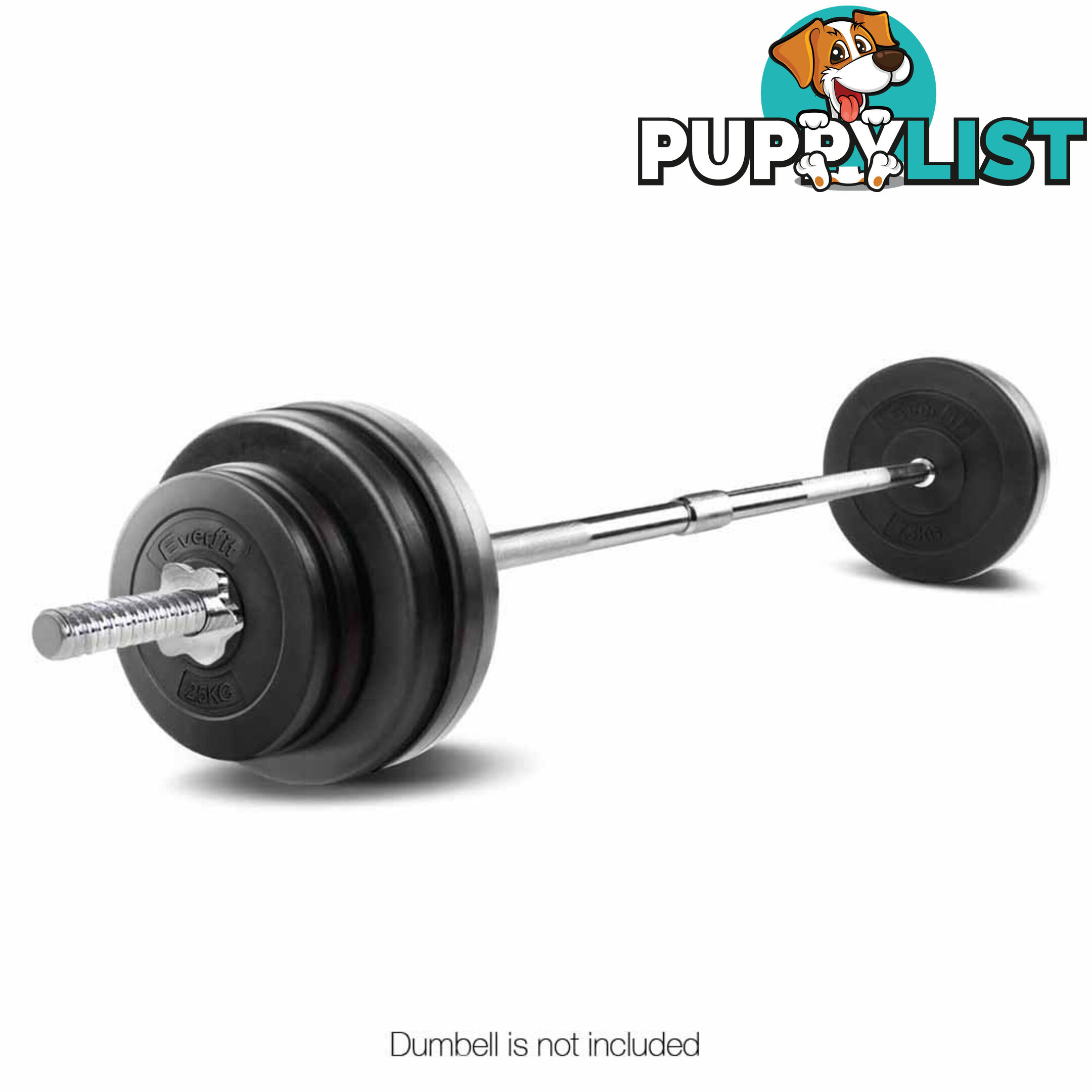 168CM Steel Weight Barbell with Spring Collars