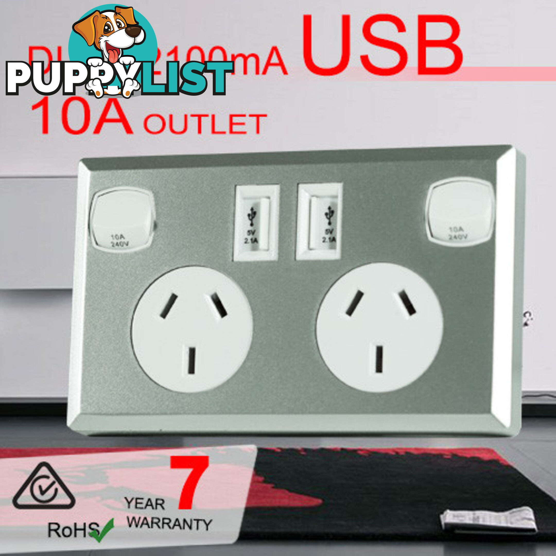 10A Double Australian USB Power Point Supply 2 Socket Switch Wall Plug Silver