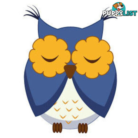 10 X Cute blue owl Wall Sticker - Totally Movable