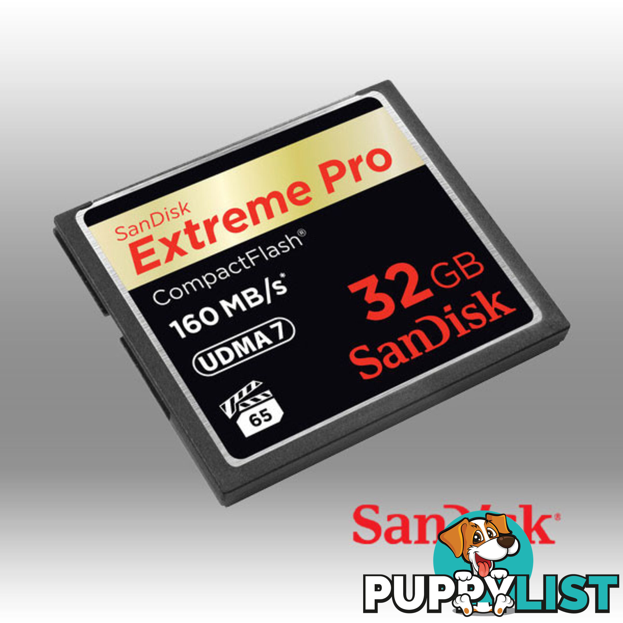 SanDisk Extreme Pro SDHC SDXPA 32GB UHS-I Memory Card 95MB/s