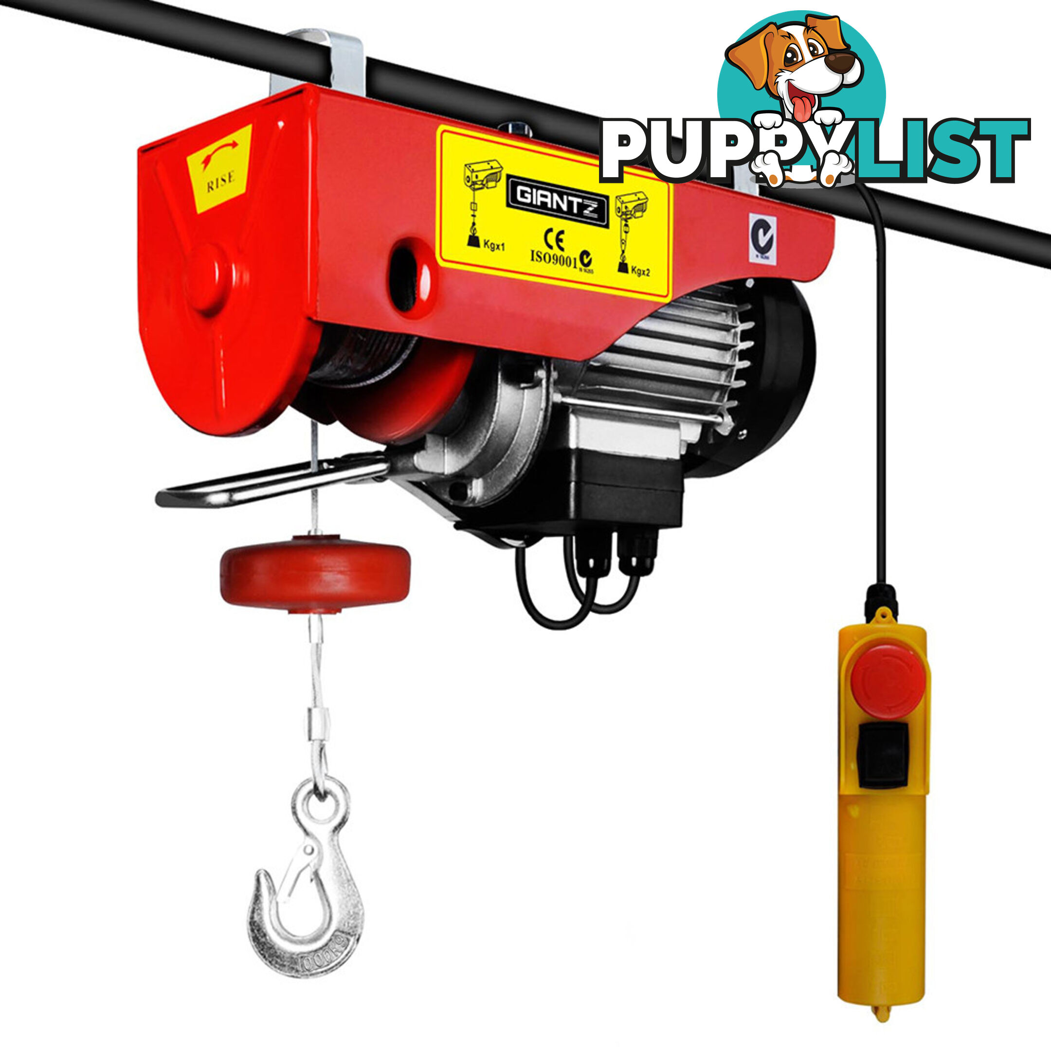 Electric Hoist 18M 1000KG