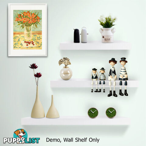 3 pcs Wall Floating Shelf Set Bookshelf Display White