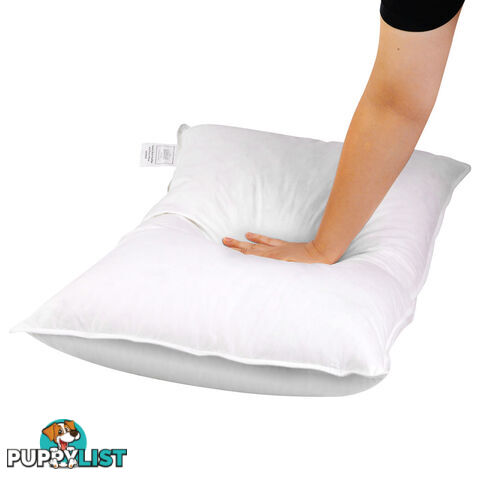 2 Pcs Duck Feathers Down Pillow w/ Bag