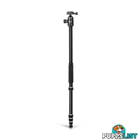 Professional Ball Head Tripod Digital Camera 173cm