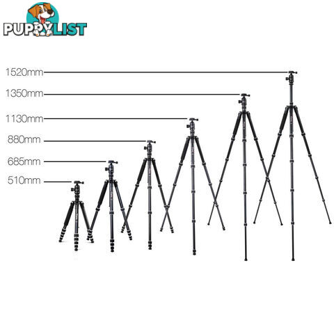 Professional Ball Head Tripod Digital Camera 173cm