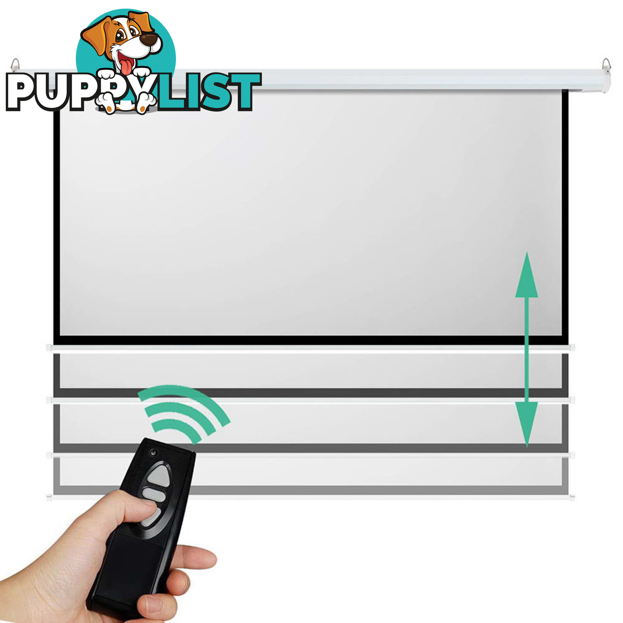 Electric Projector Screen - 317 cm