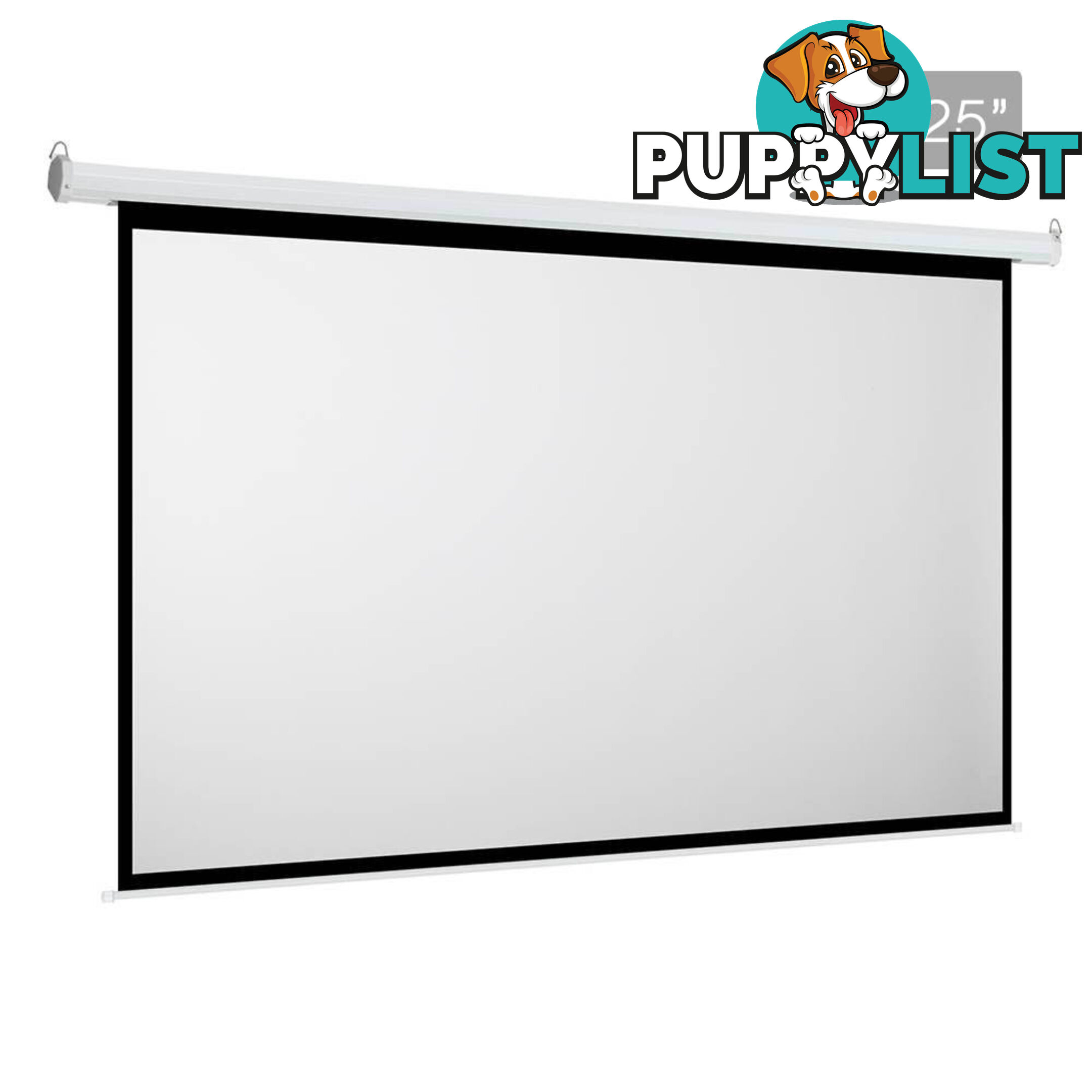 Electric Projector Screen - 317 cm