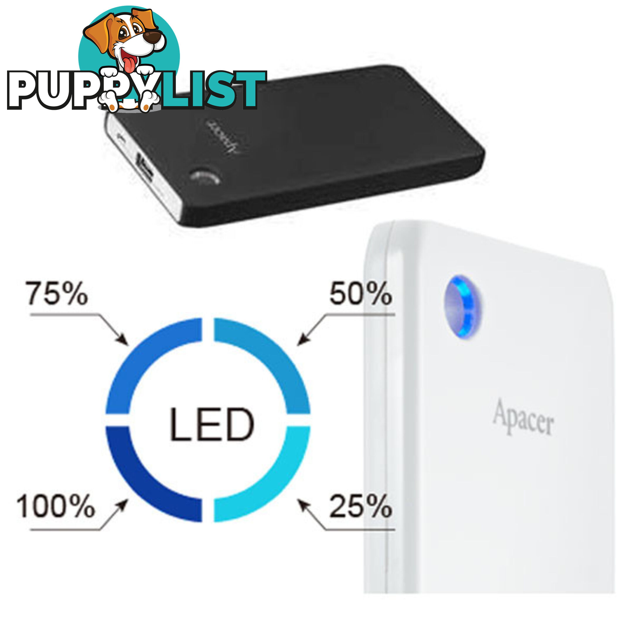 APACER DELUXE PORTABLE POWERBANK 10000MAH BLACK COLOR ( B515 BLACK )