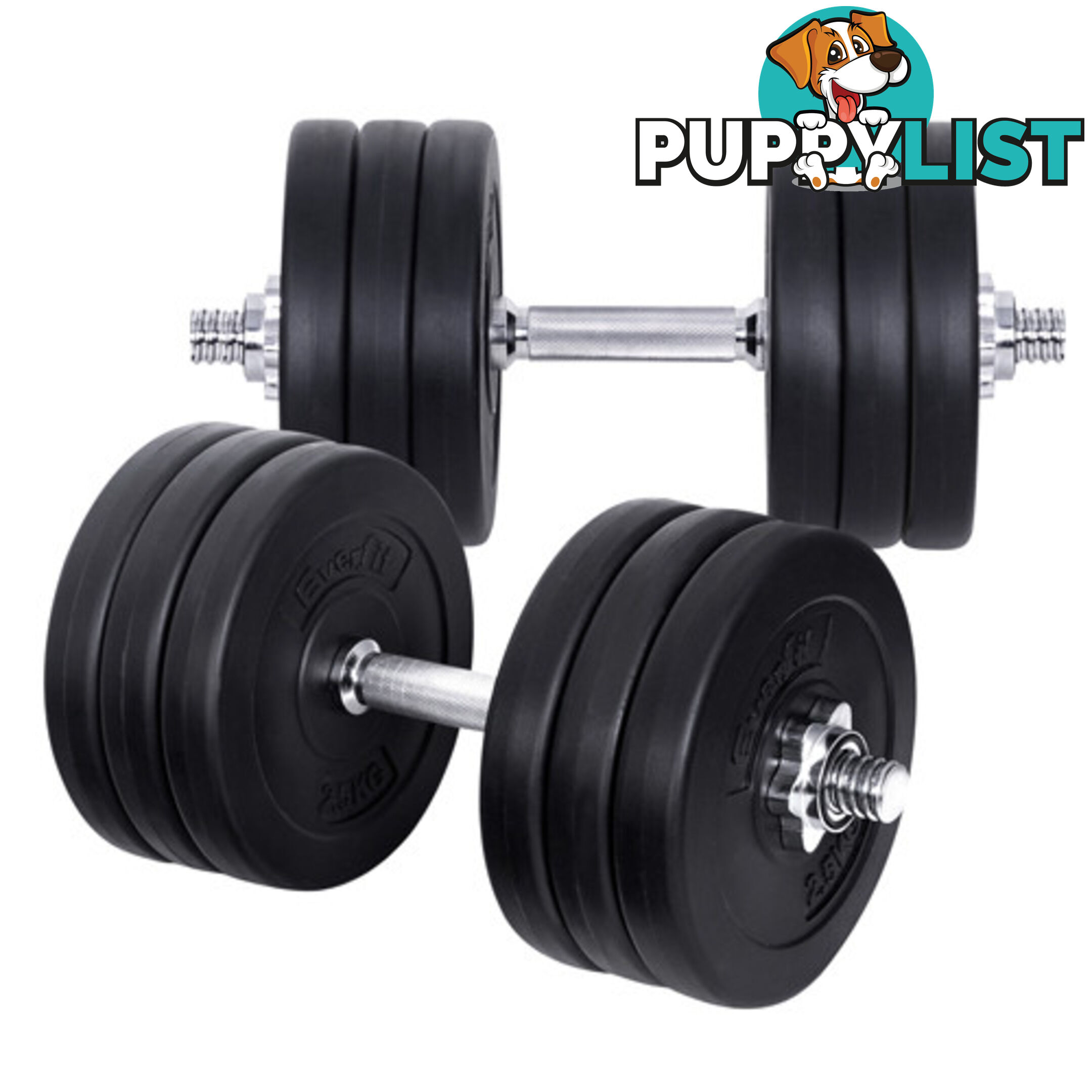 35kg Fitness Gym Exercise Dumbbell Set