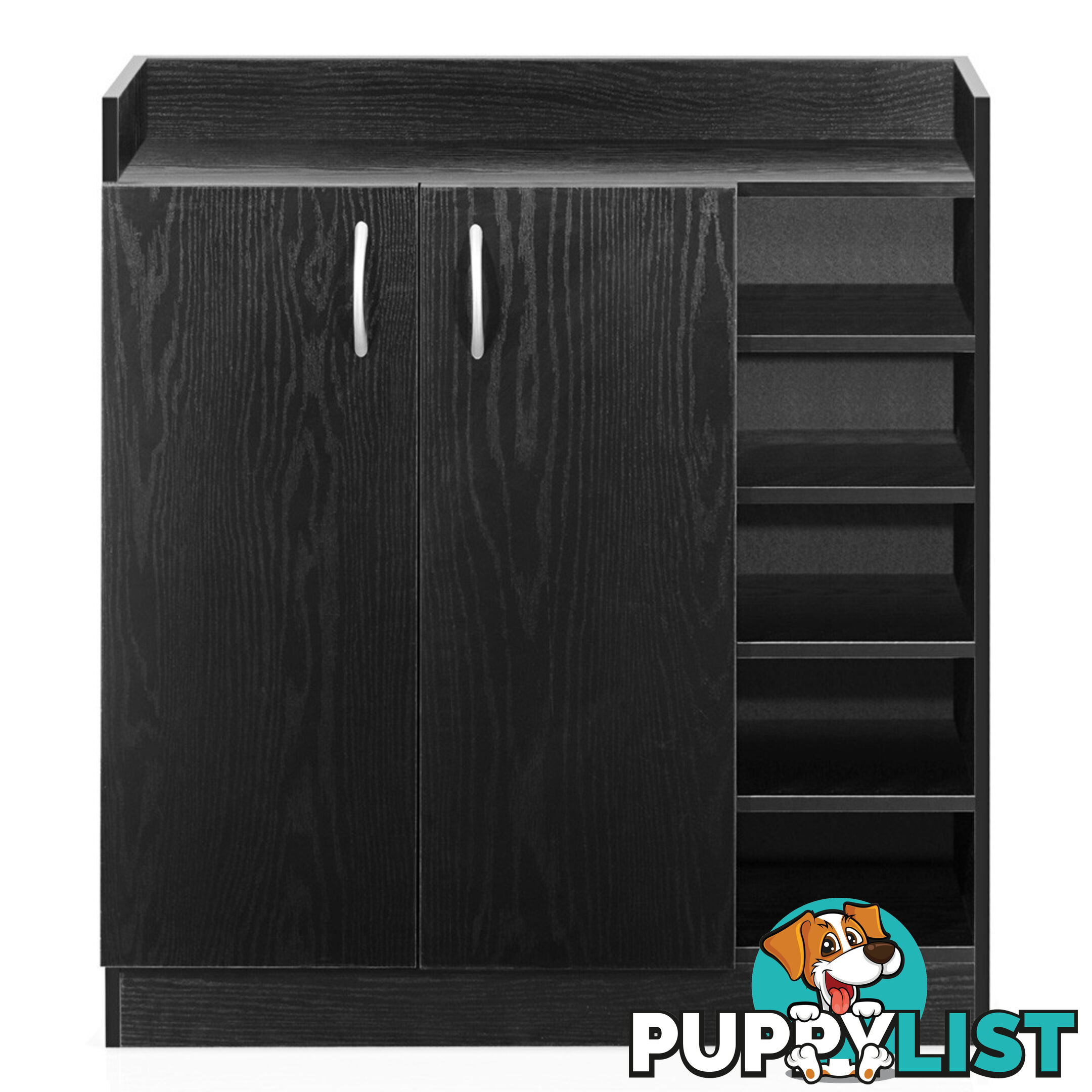 2 Doors Shoe Cabinet Storage Cupboard Black