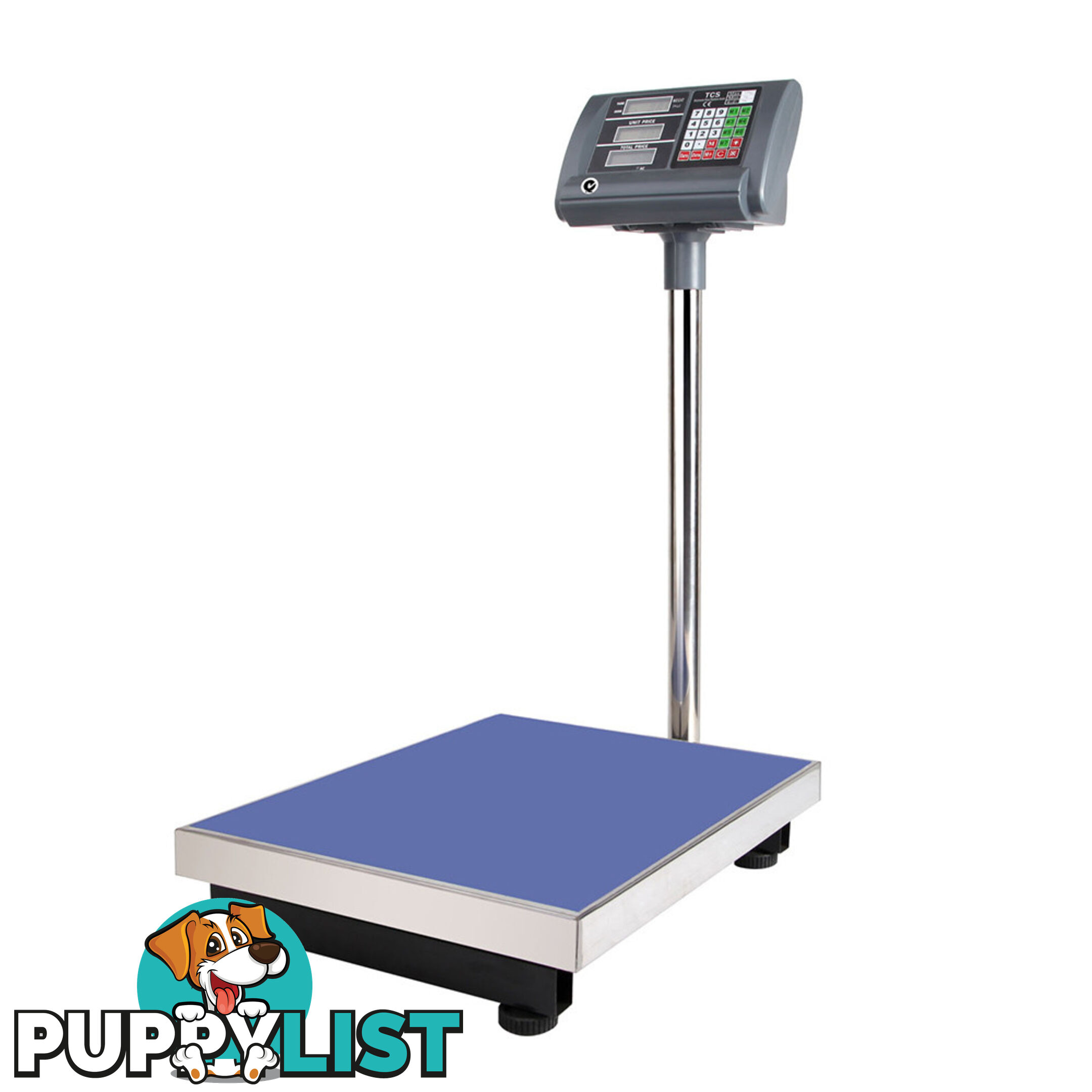 Electronic Computing Platform Digital Scale 300kg