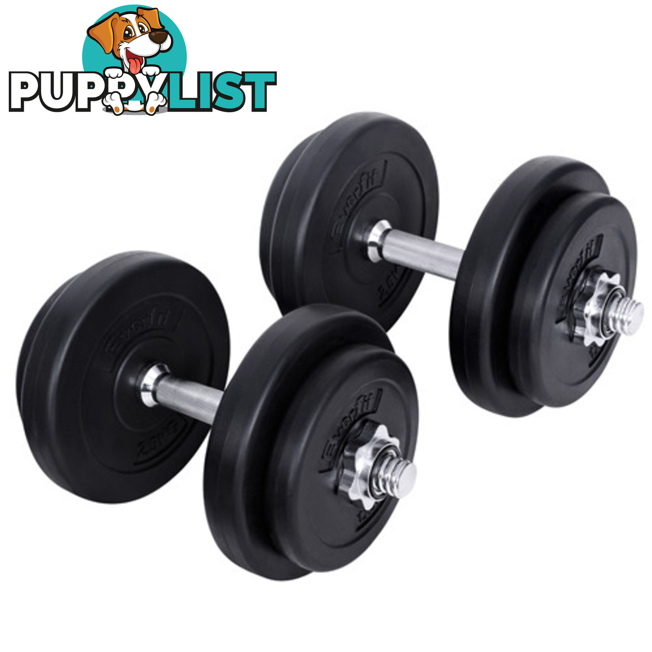 20kg Fitness Gym Exercise Dumbbell Set