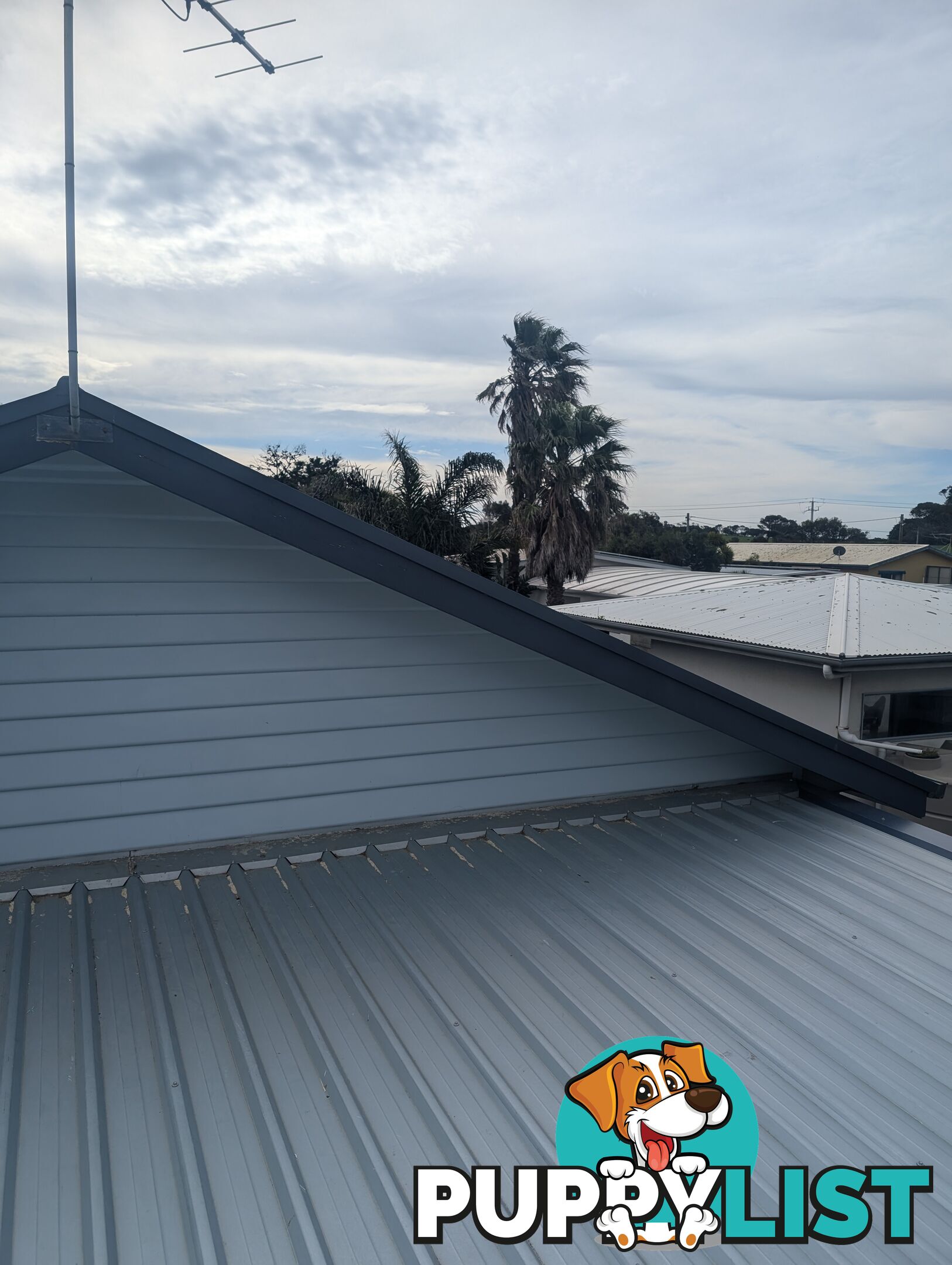 ASH DANIEL MAINTENANCE CONSTRUCTION