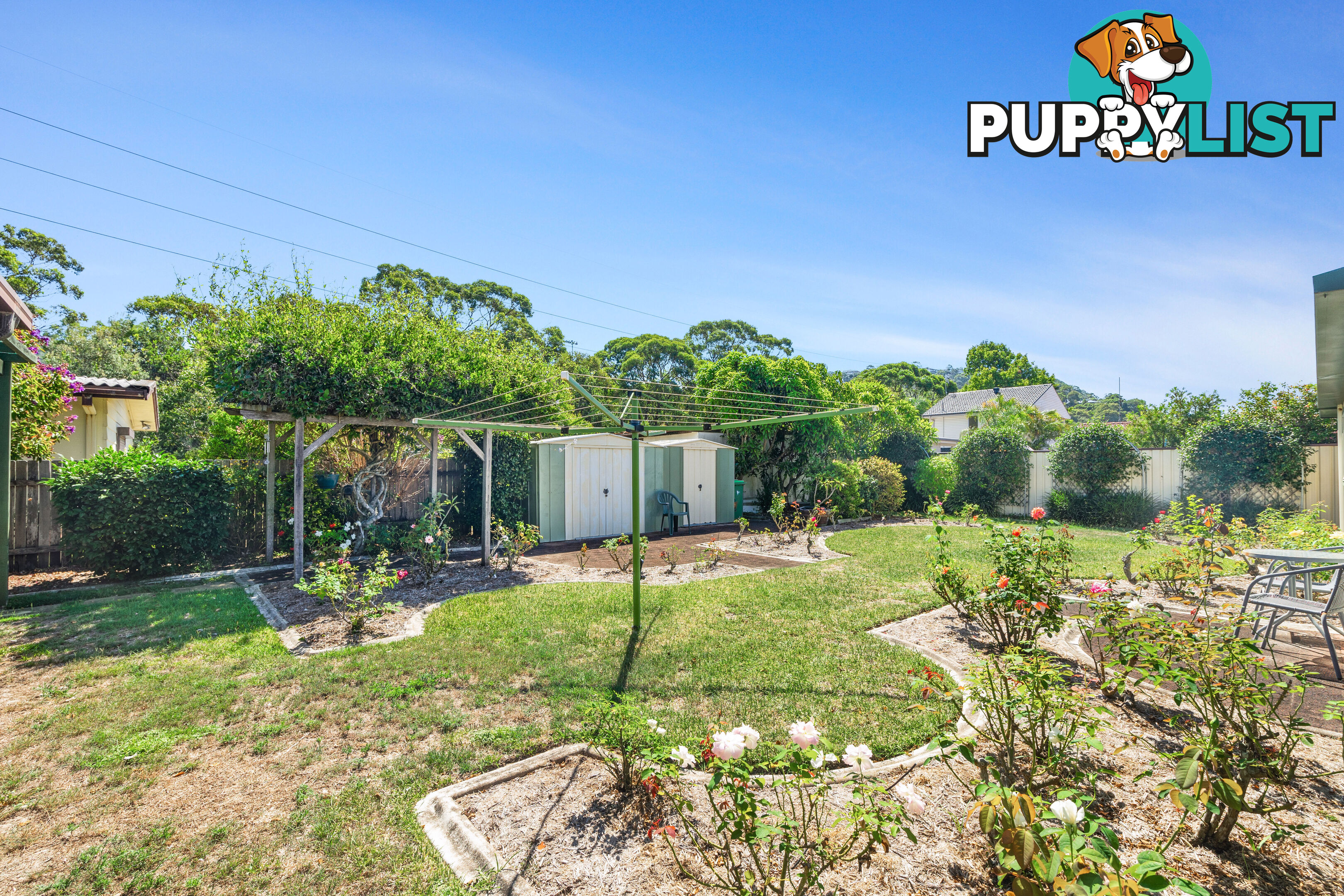 101 McEvoy Street UMINA BEACH NSW 2257