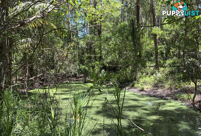 Lot 222 The Scenic Road MACMASTERS BEACH NSW 2251