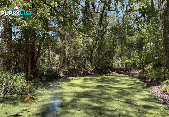 Lot 222 The Scenic Road MACMASTERS BEACH NSW 2251