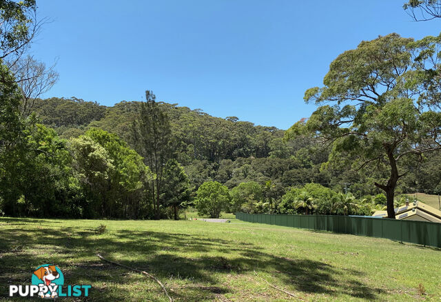 Lot 222 The Scenic Road MACMASTERS BEACH NSW 2251