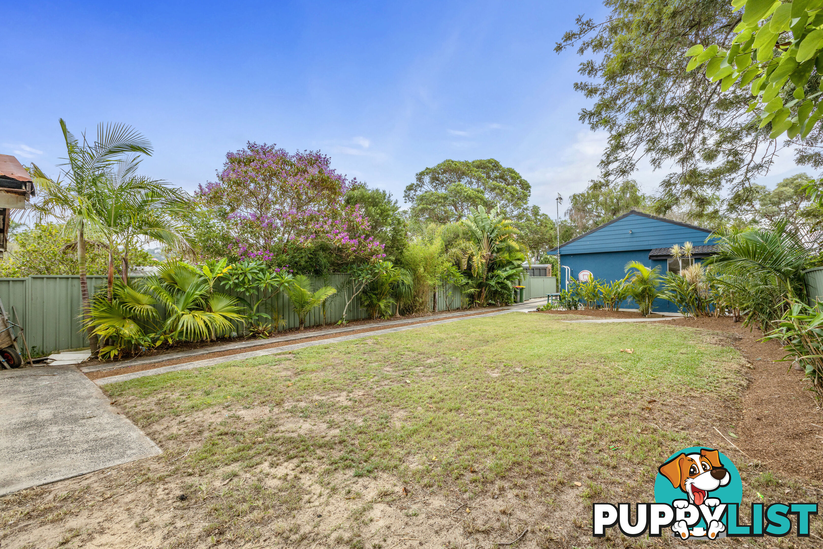 84 Albion Street UMINA BEACH NSW 2257