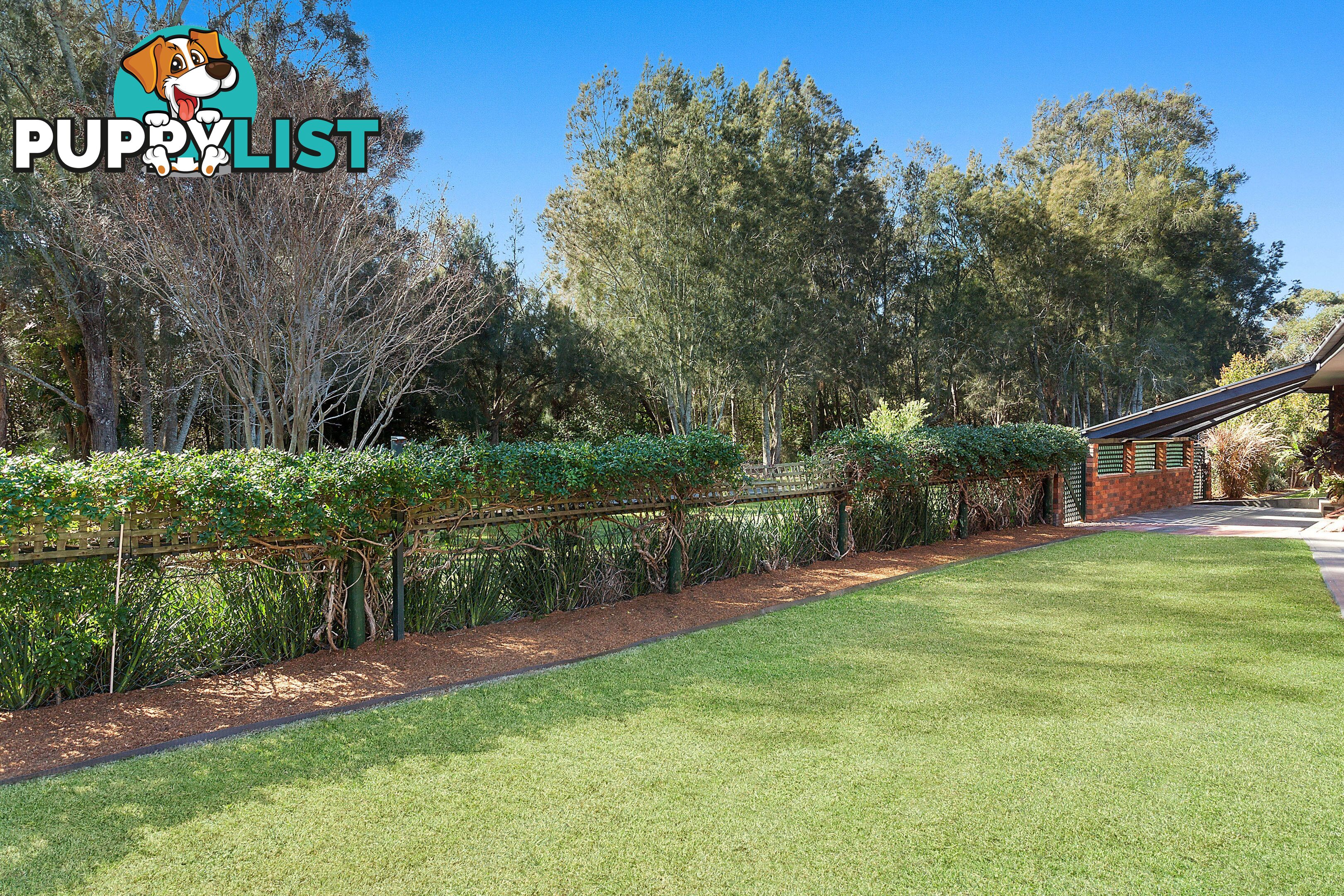 6 Clematis Place POINT CLARE NSW 2250