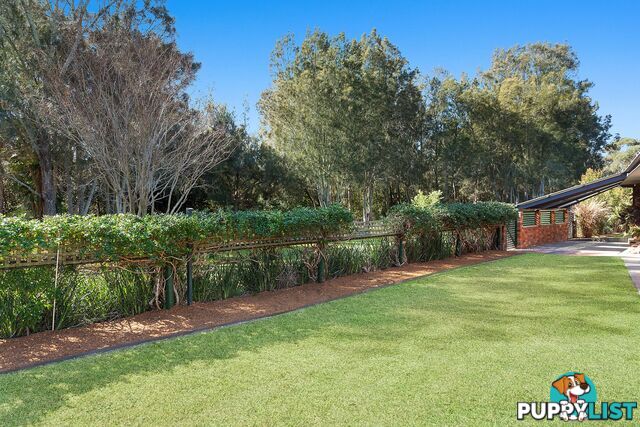 6 Clematis Place POINT CLARE NSW 2250