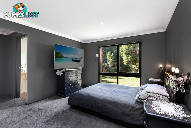 6 Clematis Place POINT CLARE NSW 2250