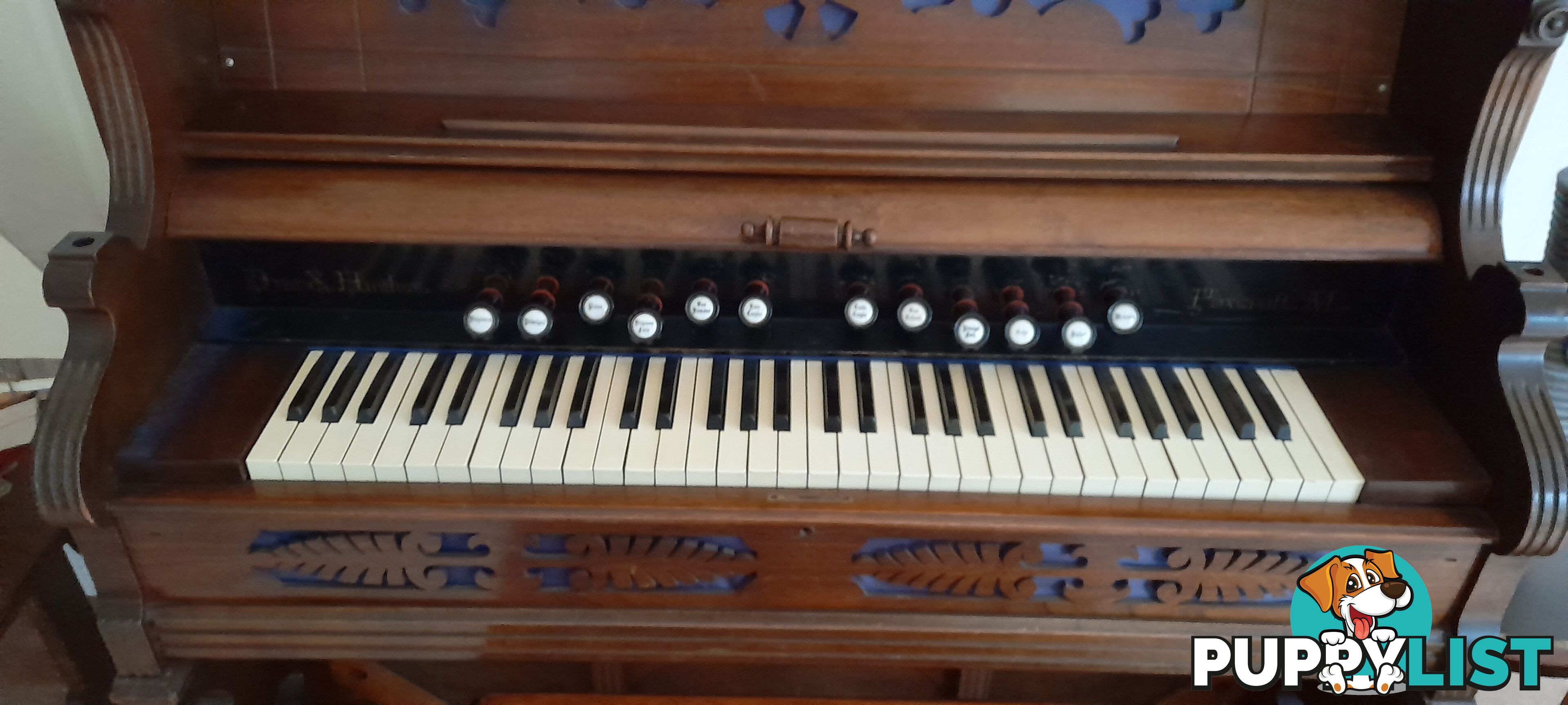 Church Organ