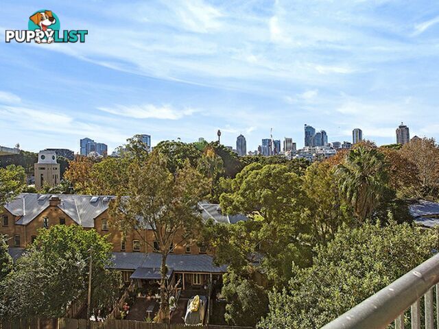 404/34 Wentworth Street GLEBE NSW 2037