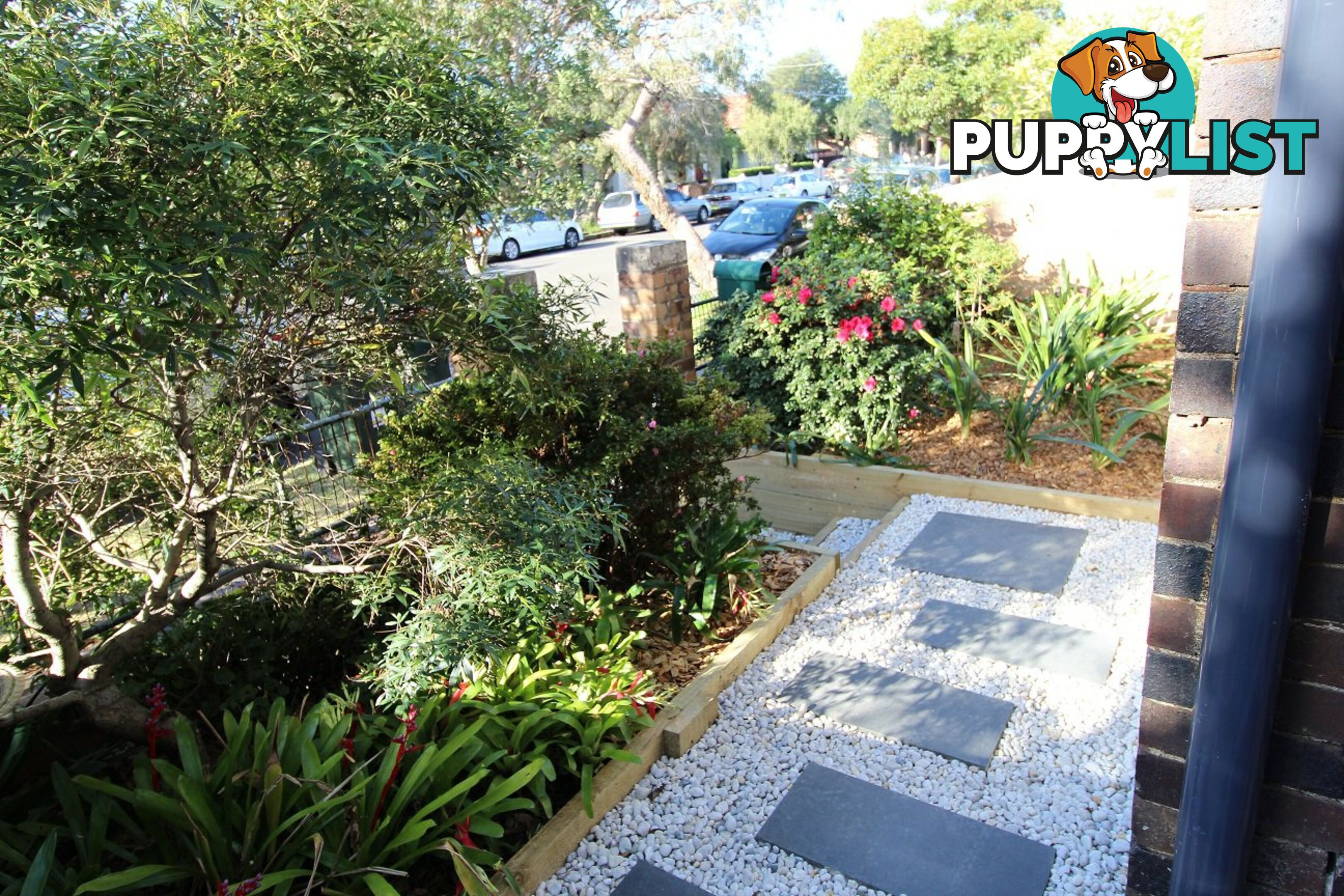 48 Horton Street MARRICKVILLE NSW 2204