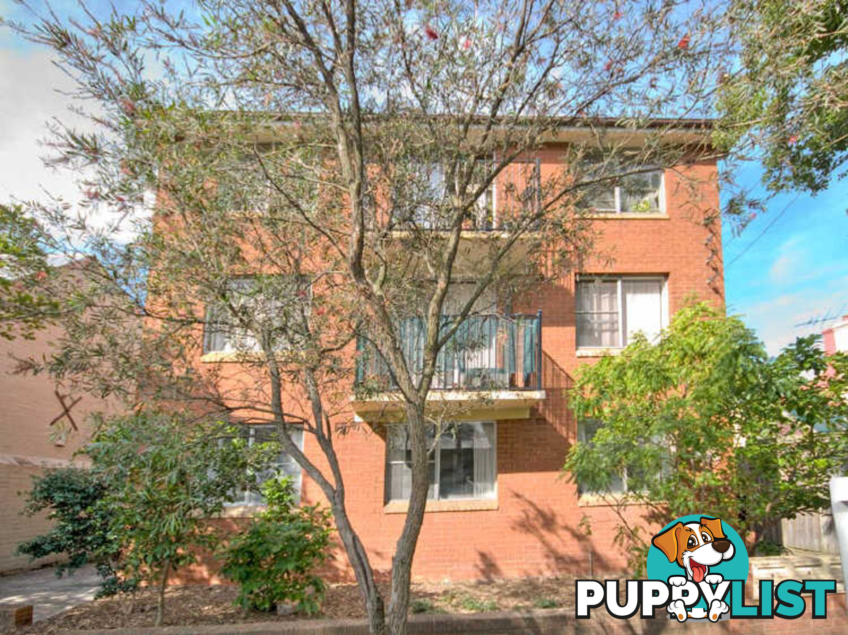 1/41 Gottenham Street GLEBE NSW 2037