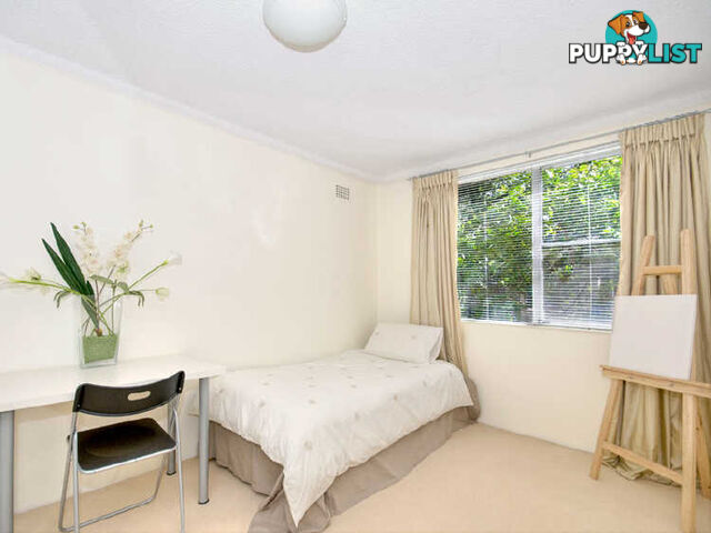 1/41 Gottenham Street GLEBE NSW 2037