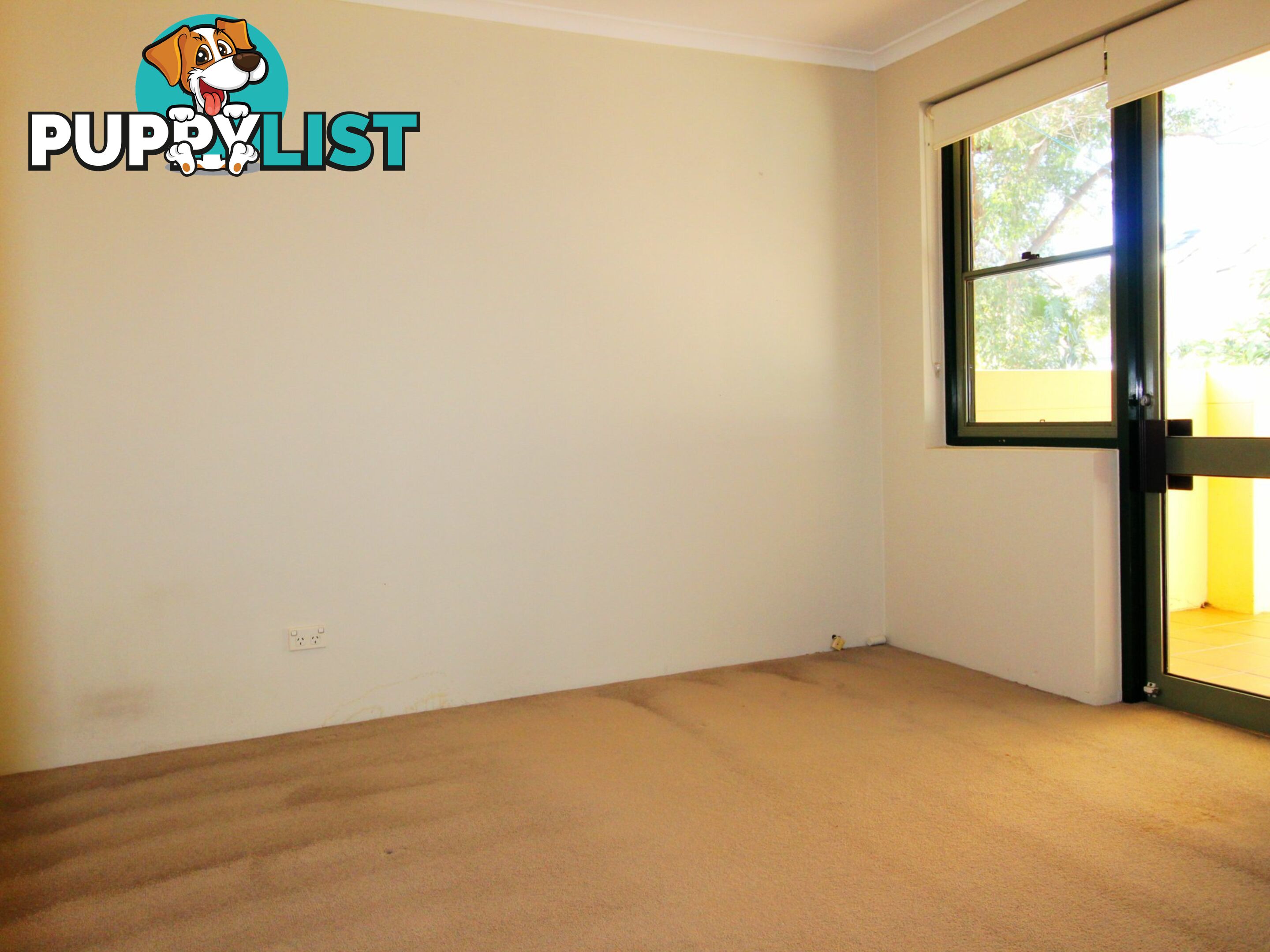 Flat 2/335-341 Glebe Point Road GLEBE NSW 2037