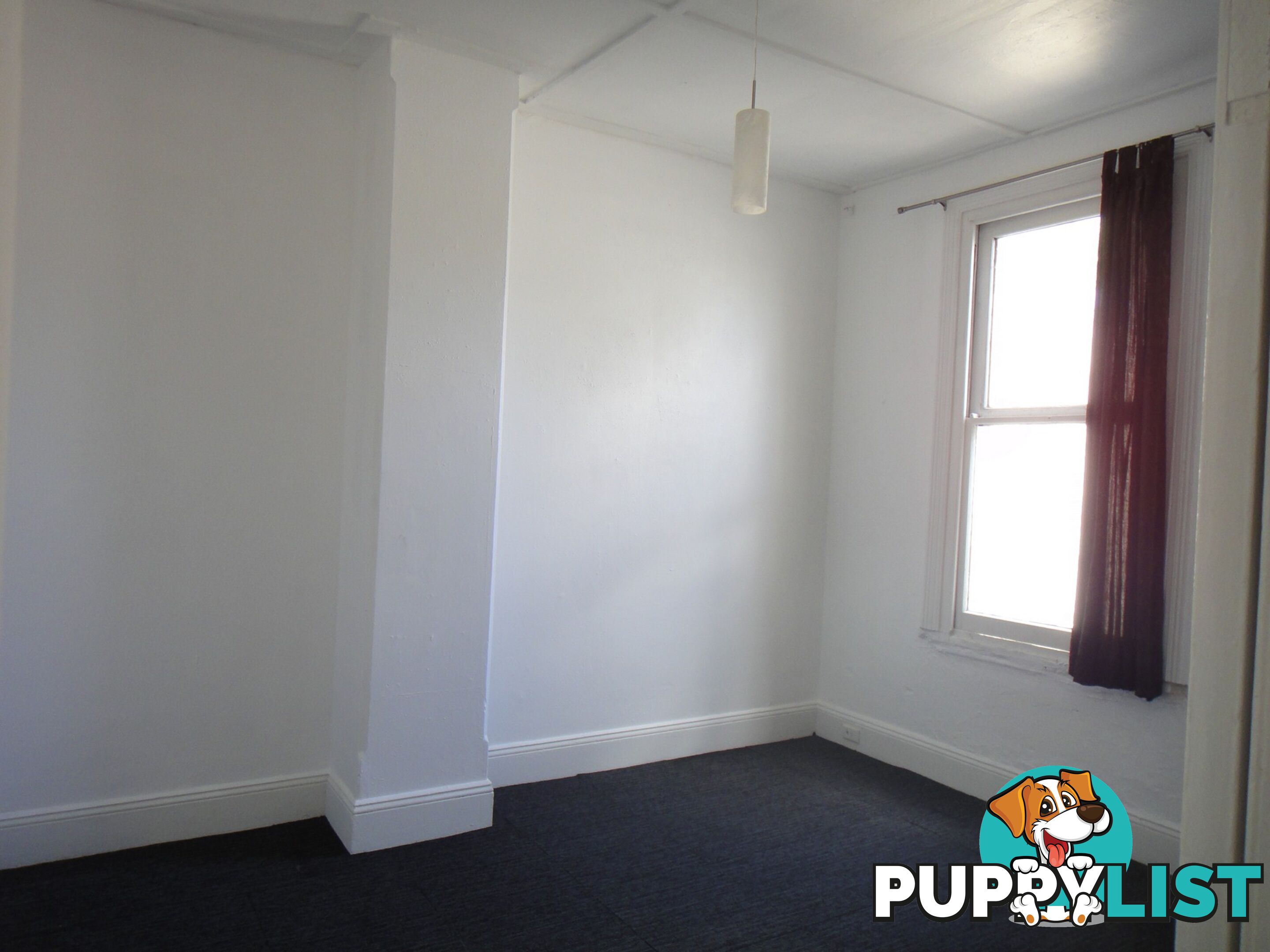 Unit 2/165 Wigram Road GLEBE NSW 2037