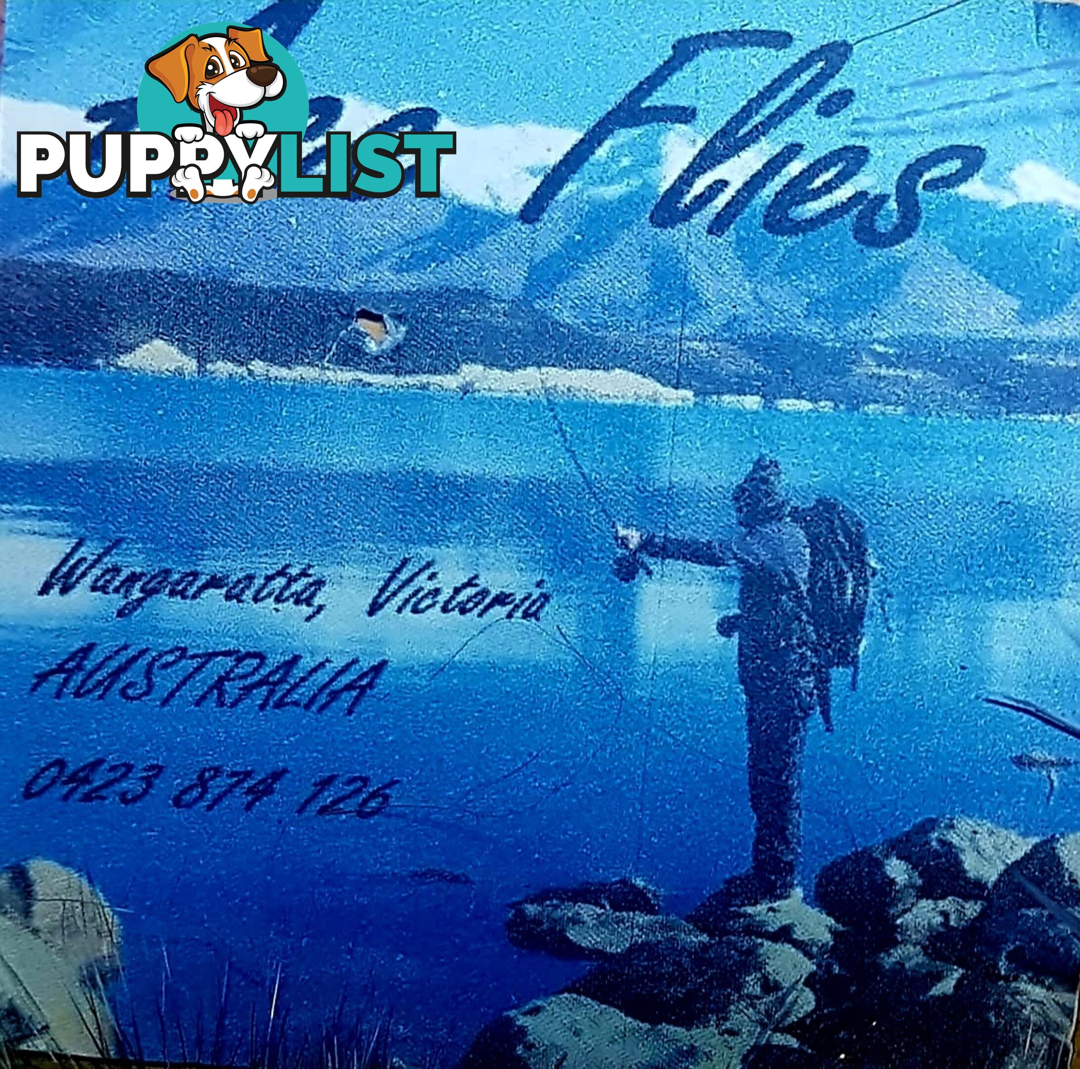 Fishing flies