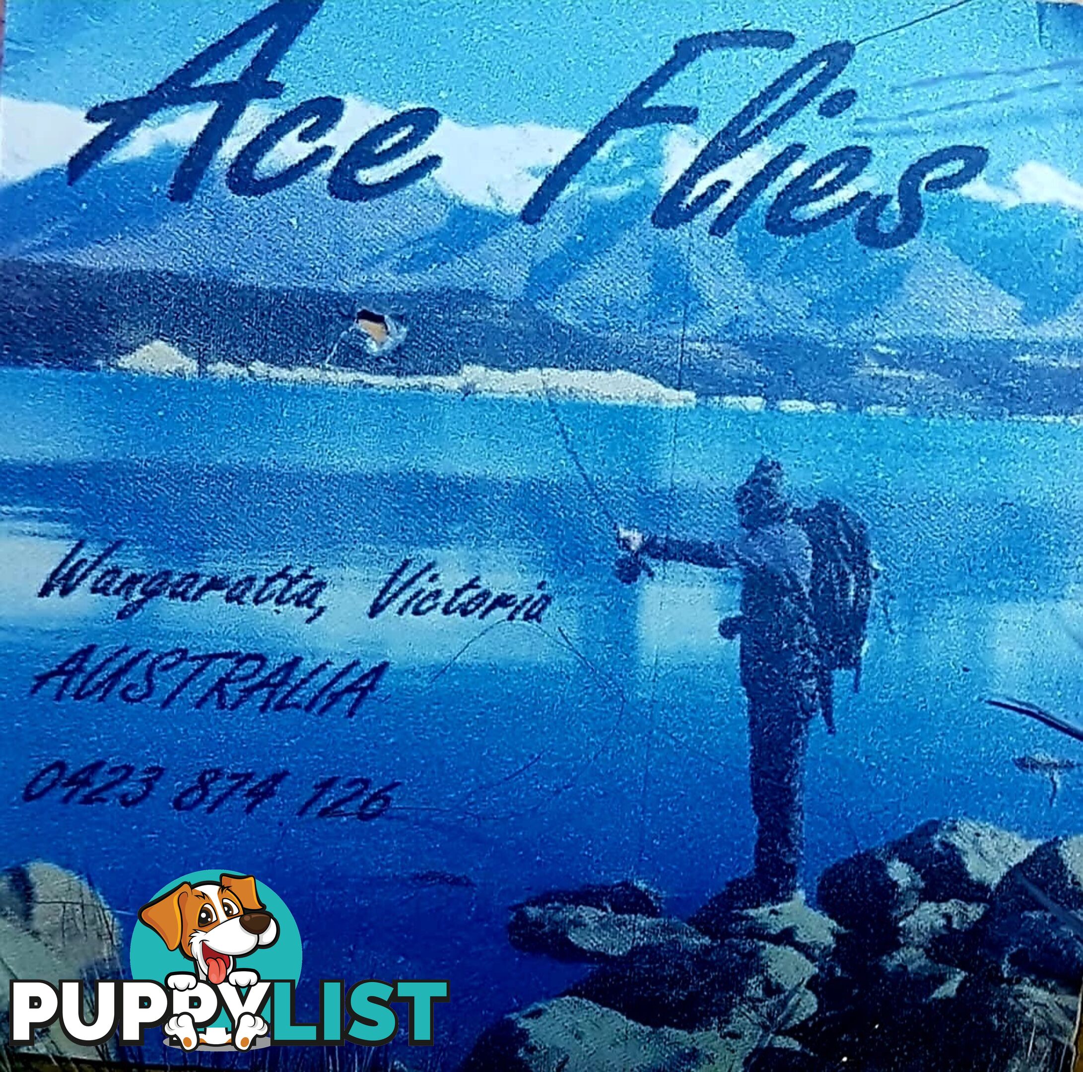 Fishing flies