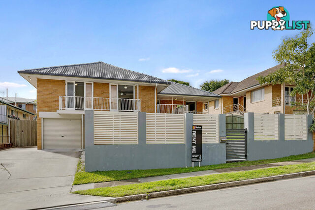 56 Nicklin Street COORPAROO QLD 4151